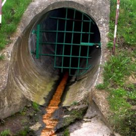 9 Shocking Things Found in Sewers
