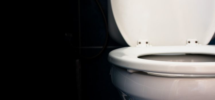 Forget the Shame and Learn How to Unclog a Toilet (Part 2)