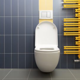Here’s What You Need to Know About Using Toilets in Different Countries
