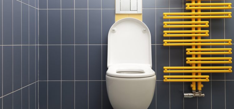 Here’s What You Need to Know About Using Toilets in Different Countries