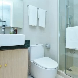 How to Replace a Toilet Flush