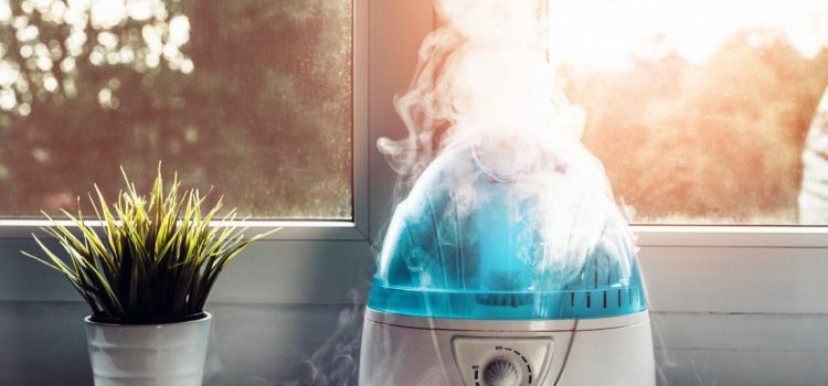 9 Perks of Using Humidifiers in Homes