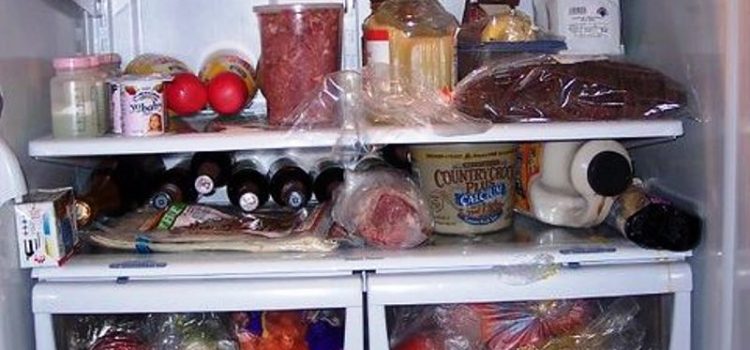 Preserving Freshness: Essential Tips for Maintaining Your Refrigerator in Top Condition